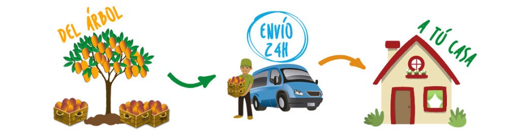 ¿Qué hacemos? Envío a domicilio de fruta tropical del árbol a tu casa.