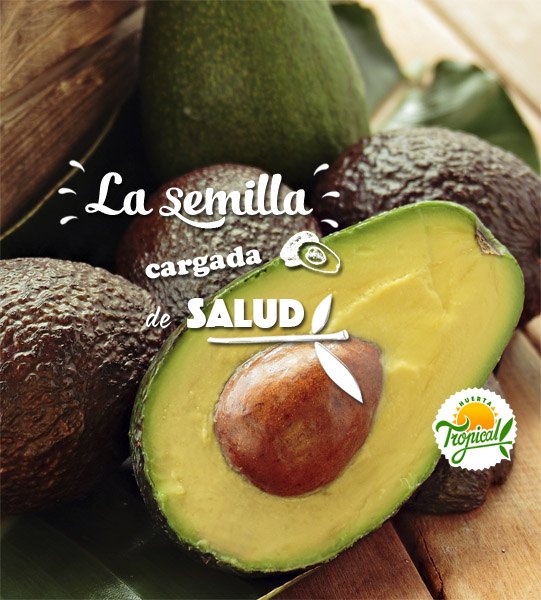 No tires la semilla del aguacate, está cargada de salud