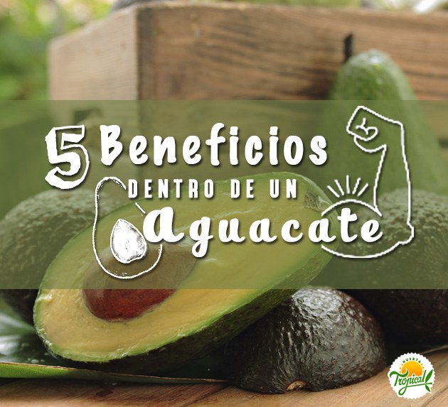 5 beneficios del consumo de aguacate