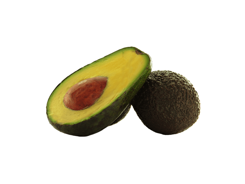 Aguacate Huerta Tropical