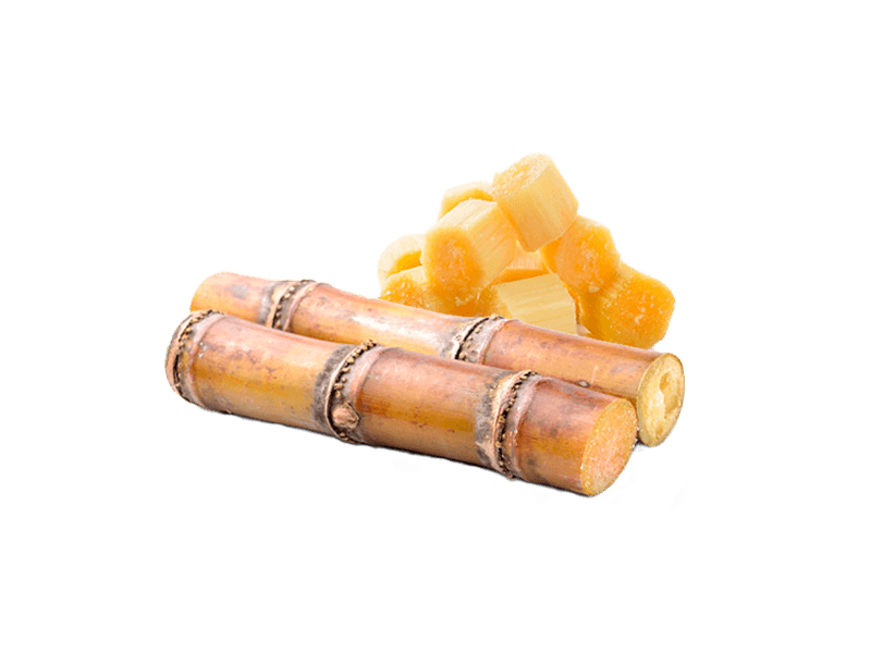 Caña de Azúcar Huerta Tropical