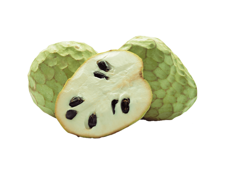 Chirimoya Huerta Tropical