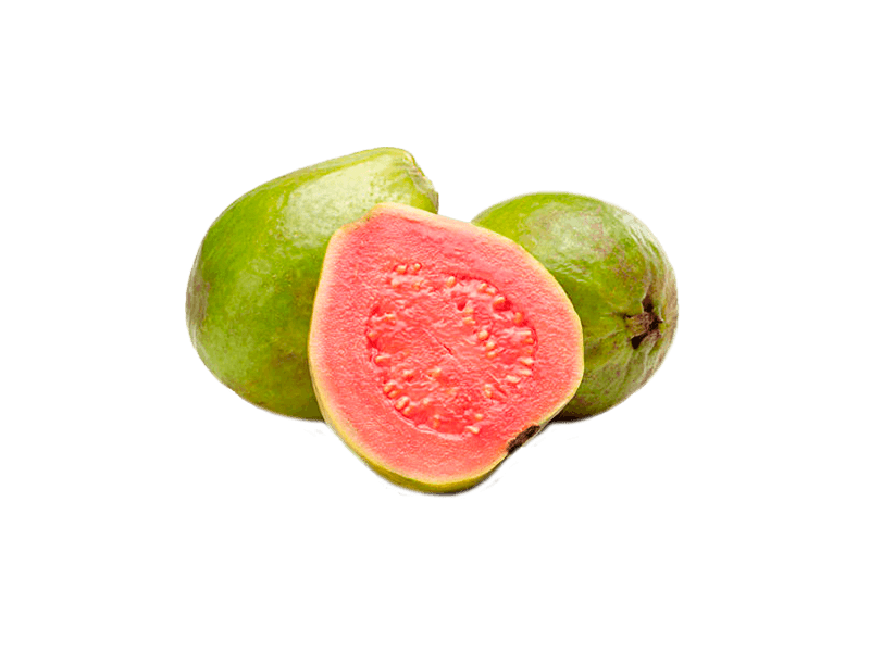Guayaba Huerta Tropical
