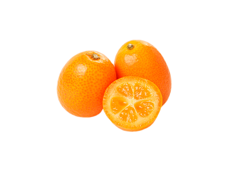 Kumquat Huerta Tropical