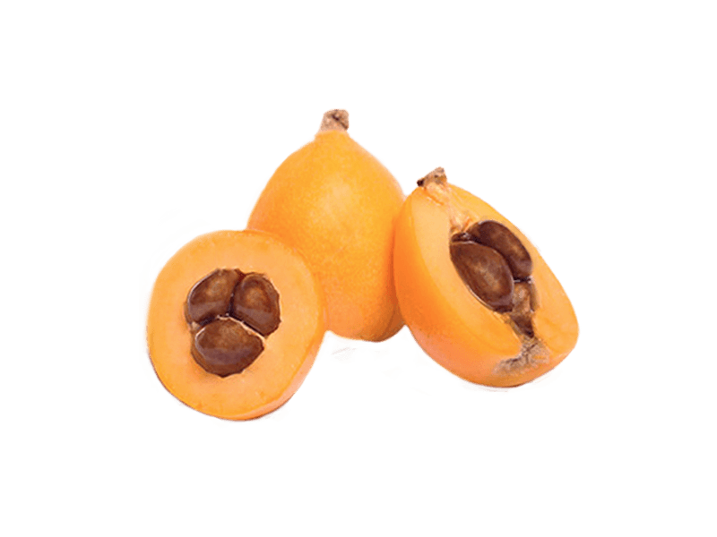 Nispero Huerta Tropical