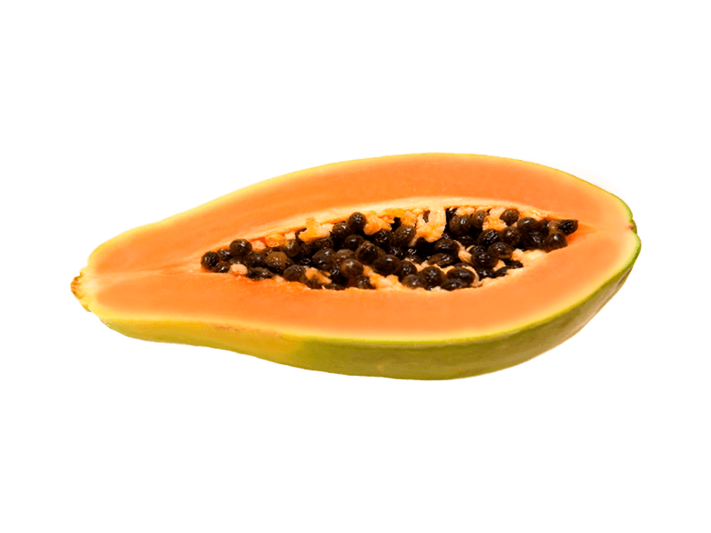 Papaya Huerta Tropical