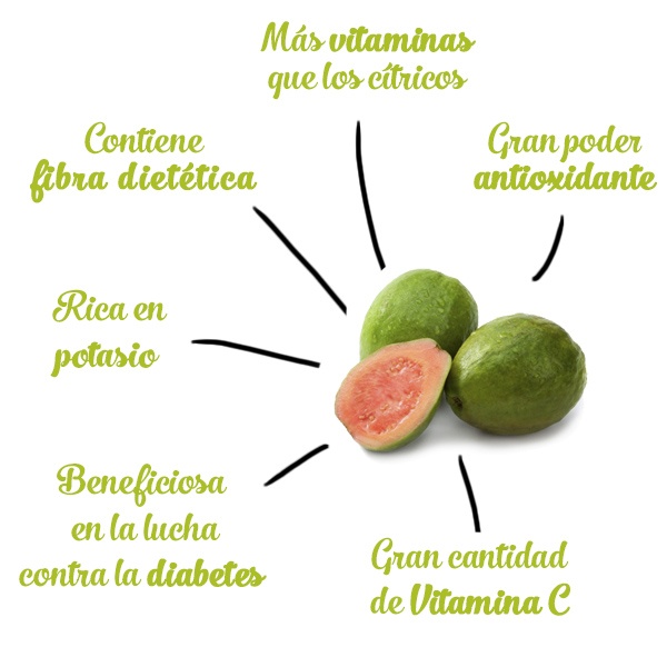 beneficios y propiedades salud guayaba