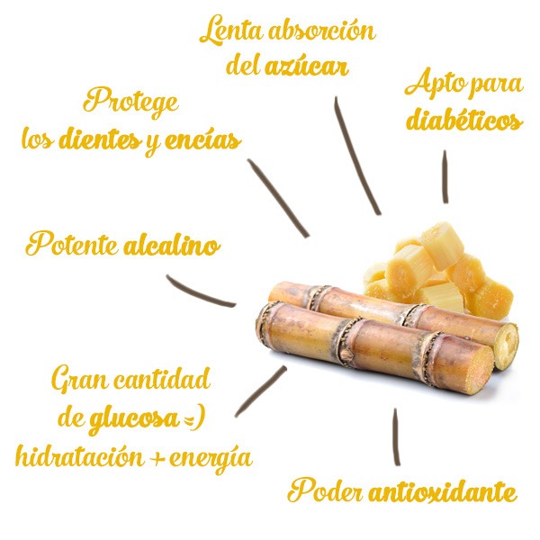 caña de azúcar de la costa tropical de granada