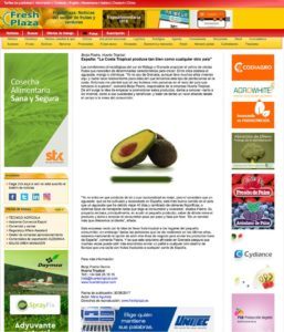 la costa tropical produce aguacate
