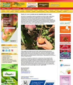 nuevo concepto para las pequeñas piezas de mango