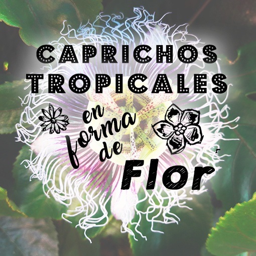 caprichos tropicales en forma de flor